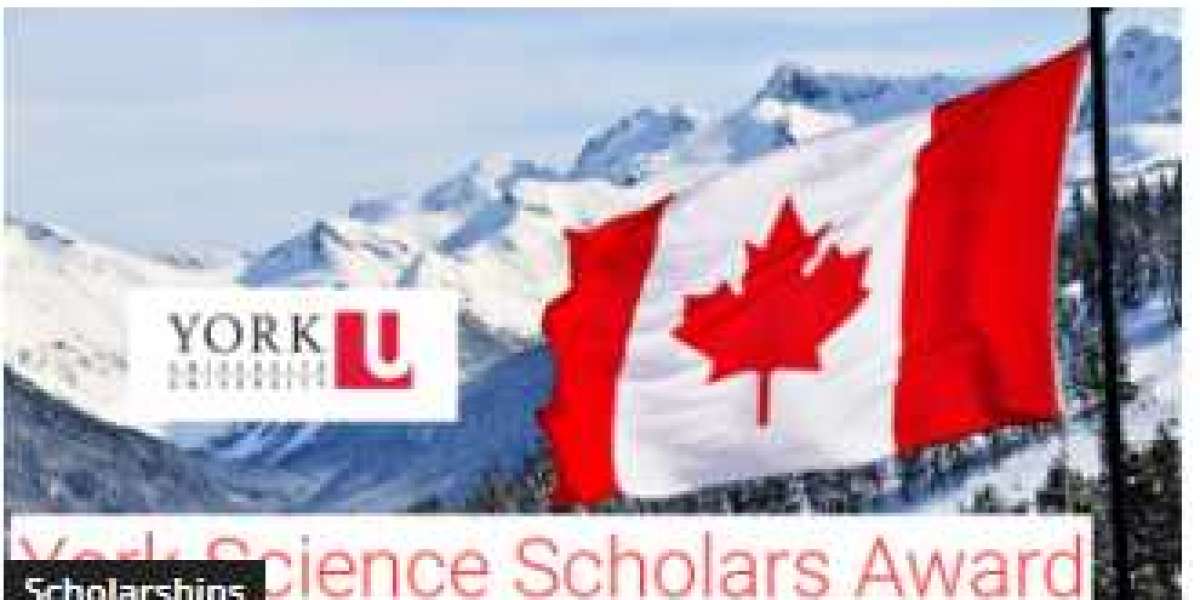 York Science Scholars Award 2023/2024 Update