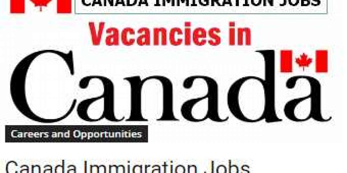 Job Requirements for Immigration to Canada and How to Apply Step-by-Step