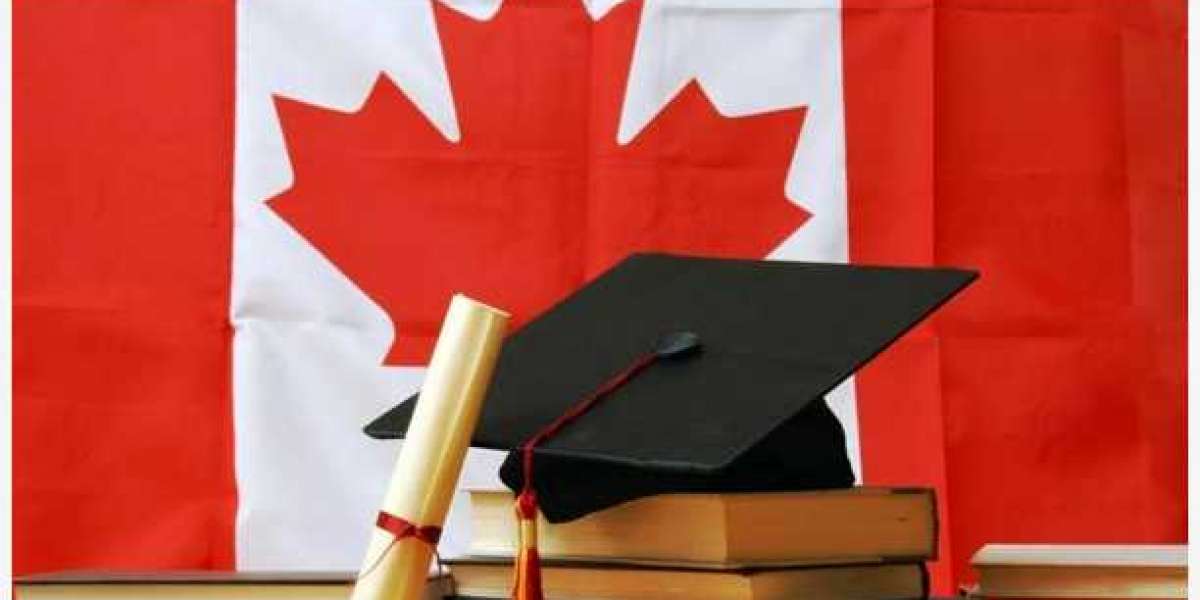 How to Complete Your Bachelor's Degree in Four Years in Canada