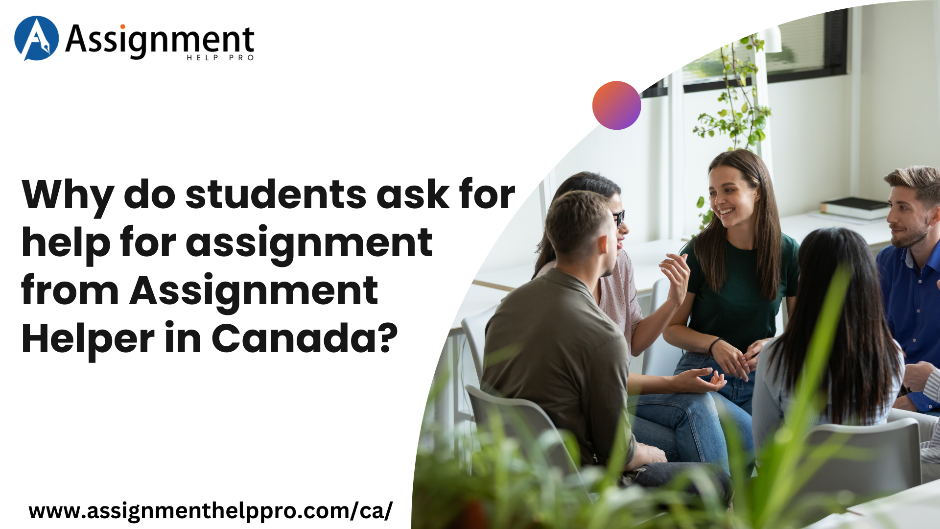Why do students ask for help for assignment from Assignment Helper in Canada? – Hs Creats