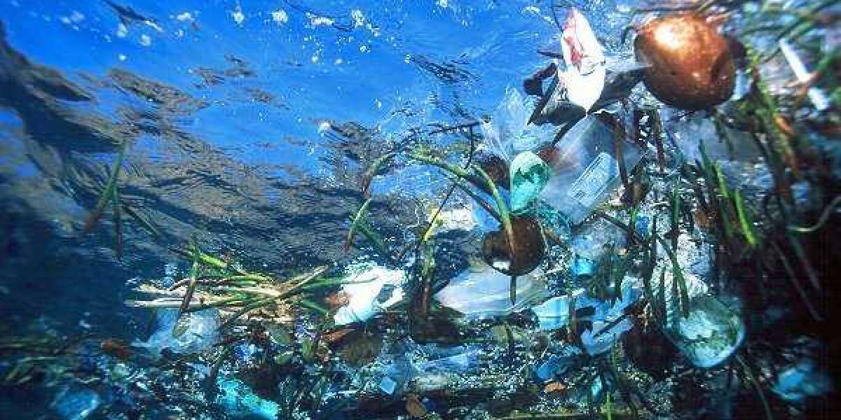 How is plastic ocean pollution harming the oxygen we breathe?