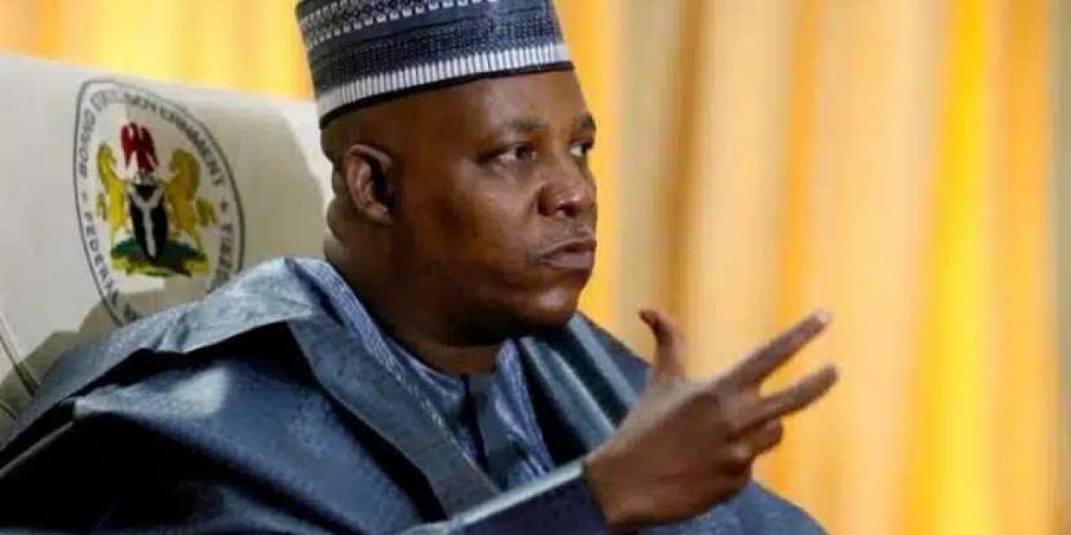 Inibehe Effiong Responds to the Supreme Court's Dismissal of the PDP's Suit Against Shettima