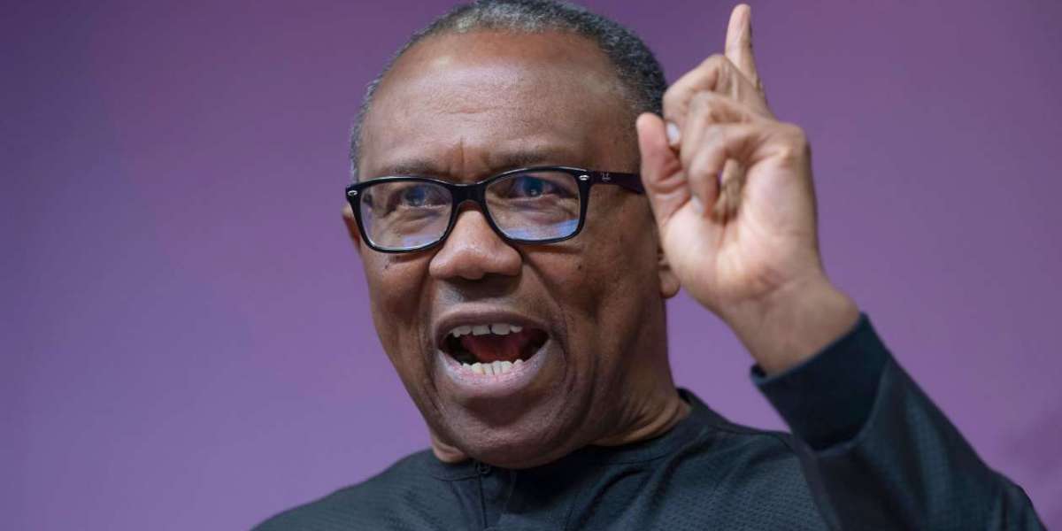 Breaking: Peter Obi Presents First Witness Against Tinubu In Court.