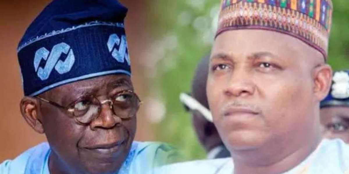 Tinubu, Shettima, and Others Were Requested to Declare Assets by May 29th
