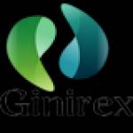 Ginirex Digital marketing