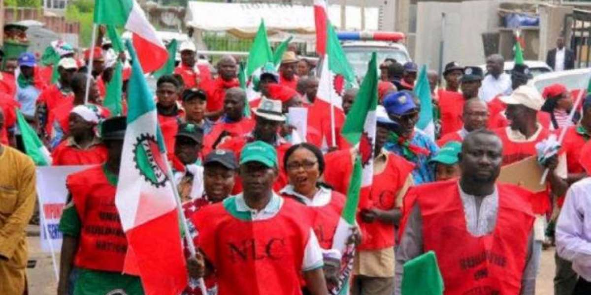 Subsidy Elimination: NLC Criticized For Suspension Of Strike.