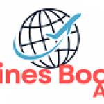 airlinesbooking agent