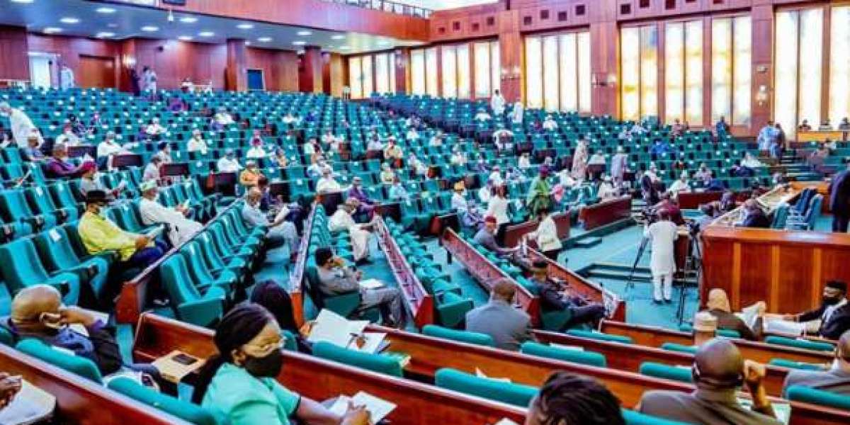 Reps Reject Motion Seeking To Ban Nigerians From 'Japa' Syndrome