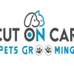 Cut On Car Pets Grooming