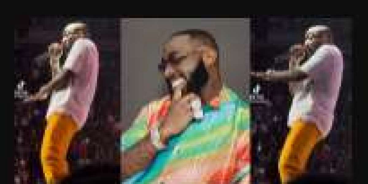 “Nobody go f*** you like I do” – Davido brags about his sexual prowess during US concert (video)