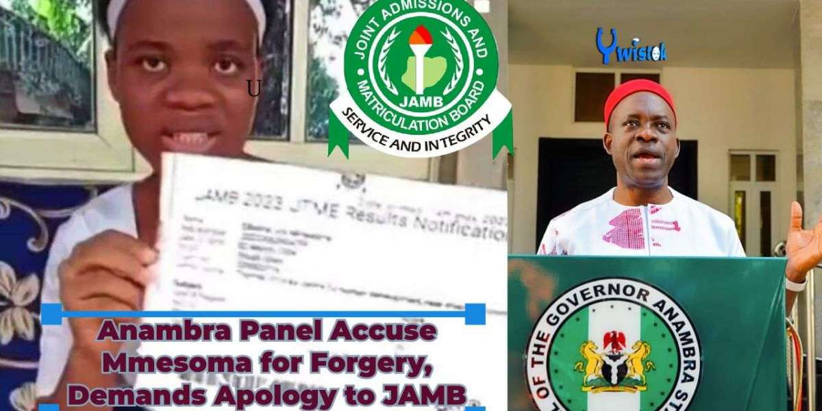 Anambra Panel Accuse Mmesoma for Forgery, Demands Apology to JAMB