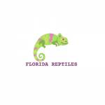 Florida Reptiles