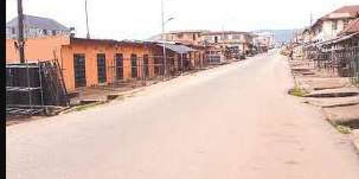 Schools shut by Enforcers of Sit-at-Home In Imo