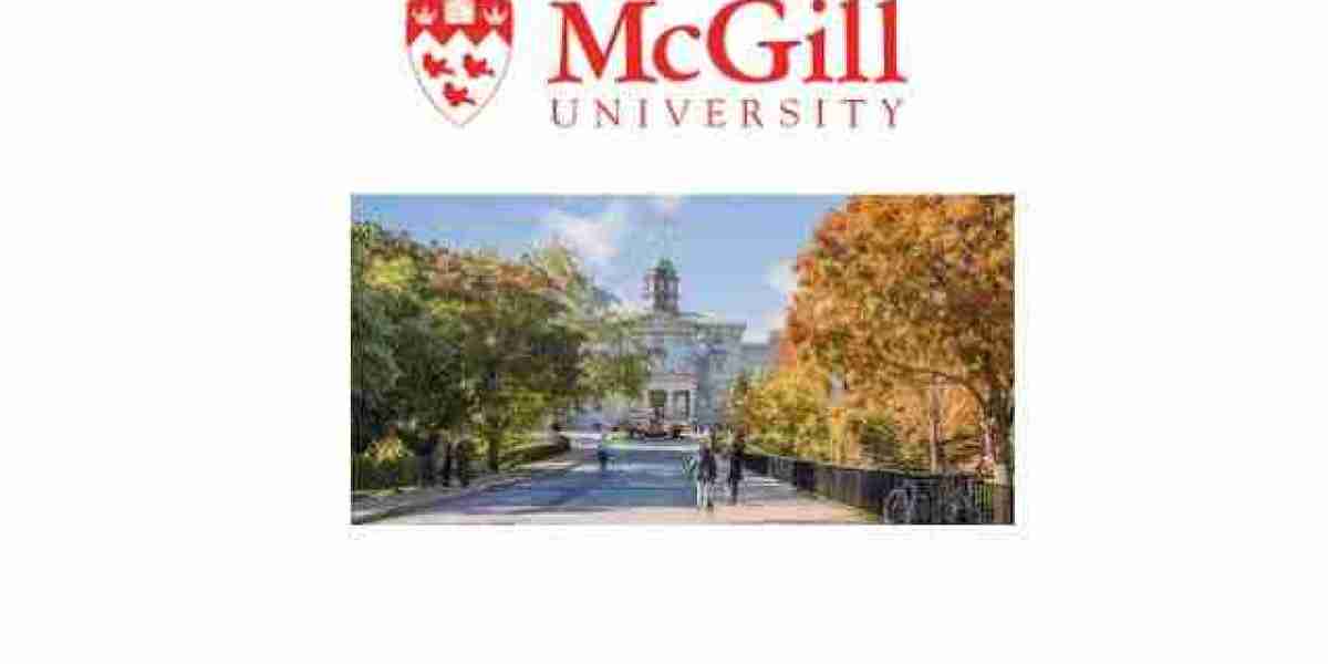 Hotels around McGill University