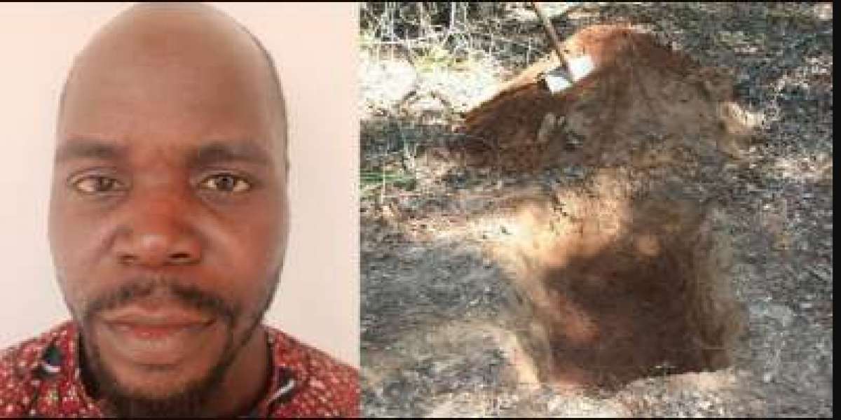 Drunk man k!lls his 2-year-old daughter, buries her in shallow grave after his ex-wife left her with him in Adamawa