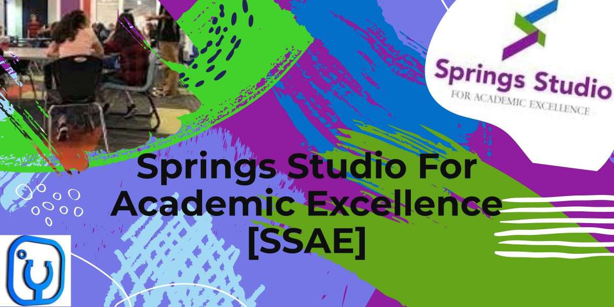 Springs Studio For Academic Excellence (SSAE)