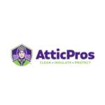 Attic Pros