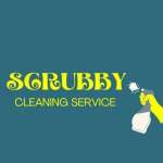 Scrubby Cleaning