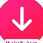 musicallydown3