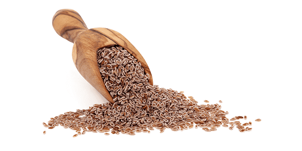 Organic Psyllium Seeds vs. Synthetic Fiber Supplements: Which is Better?