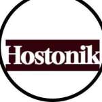 Hostonik The Best Website Hosting