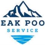 Peak Pool Service