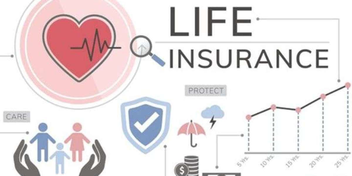 Liberty Mutual Life Insurance: Detailed!