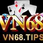 VN68 TIPS