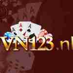 VN123 NL