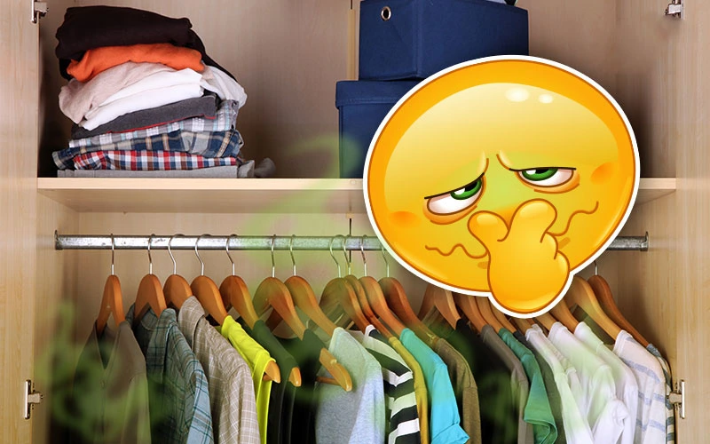 Nguyên nhân và cách khắc phục tủ quần áo có mùi hôi khó chịu