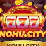 Nohu city