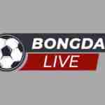 Live bongda