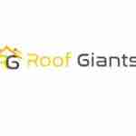 Roof Giants