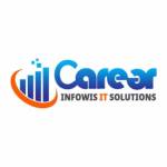 Career Infowis IT Solution Pvt Ltd