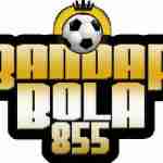 BANDARBOLA855