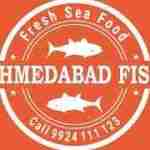 ahmedabad fish