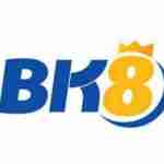 Bk8 hair