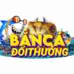 bancadoithuongs