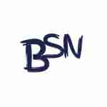 BSN Writing Services