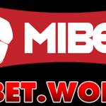 mibetworks