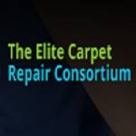 Carpet Repair