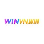 WINVN