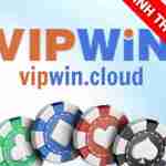 Vipwin cloud