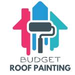 Budget Roof Painting