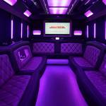 San Jose Party Bus