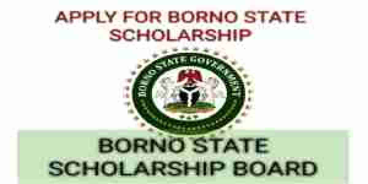 Everything You Need to Know About the Borno State Scholarship Board: Eligibility, Benefits, and Application Process