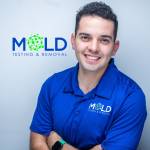 Mold Testing Mold Removal Miami FL