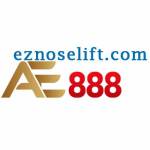 AE888 eznoselift