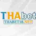 THABET18 net