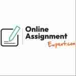 Online Assignment Expert